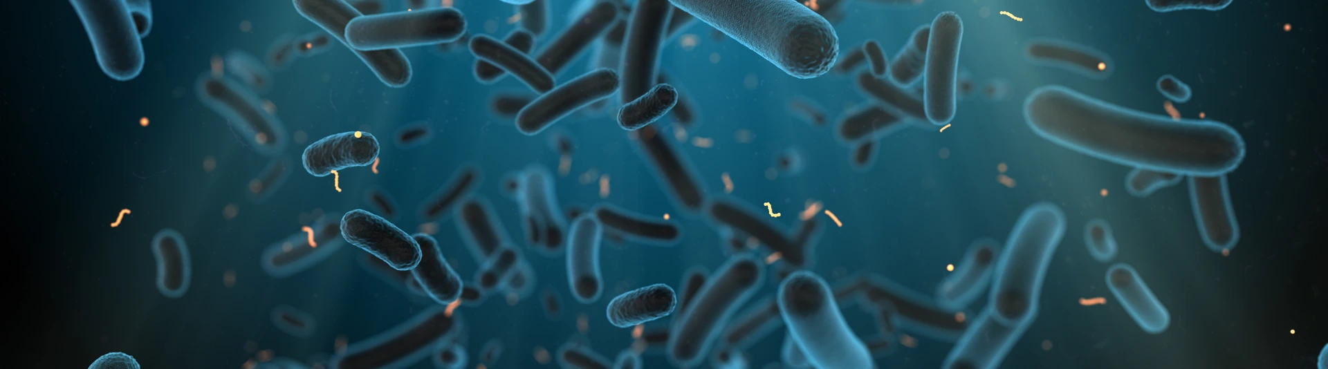E. coli bacteria found in intestine of warm-blooded organism - 3D render