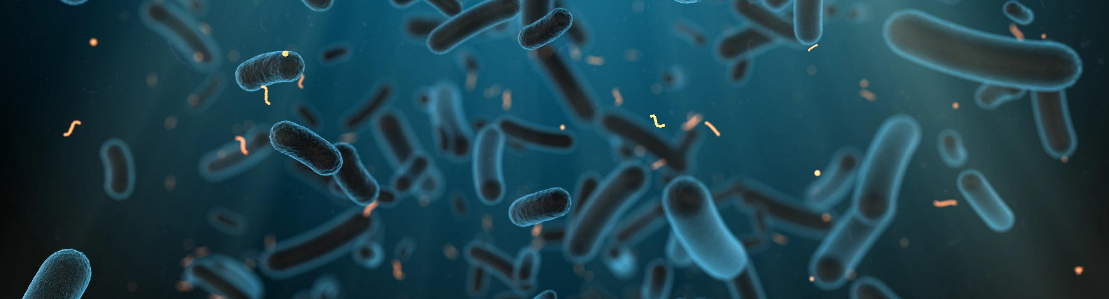 E. coli bacteria found in intestine of warm-blooded organism - 3D render