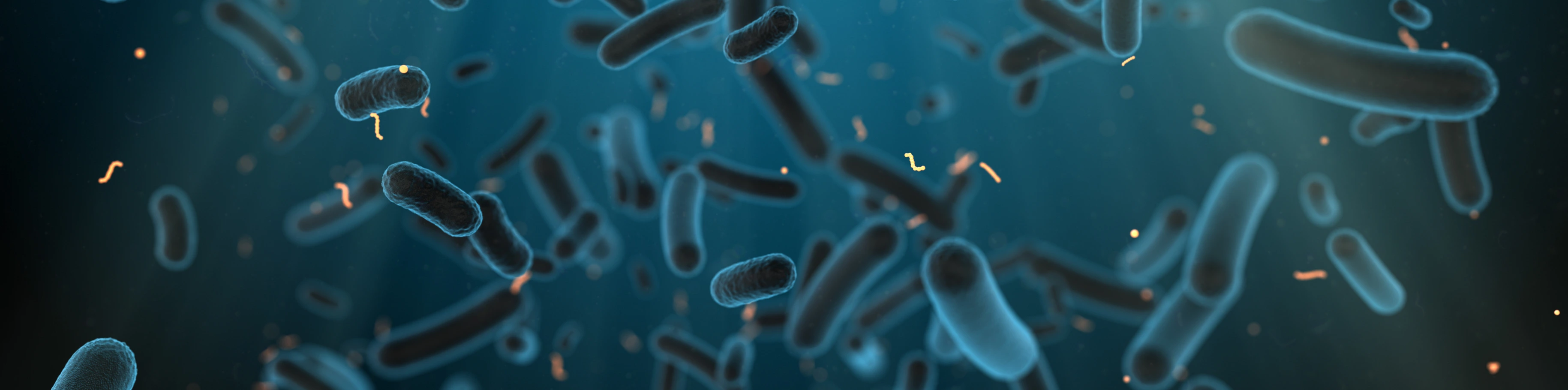 E. coli bacteria found in intestine of warm-blooded organism - 3D render