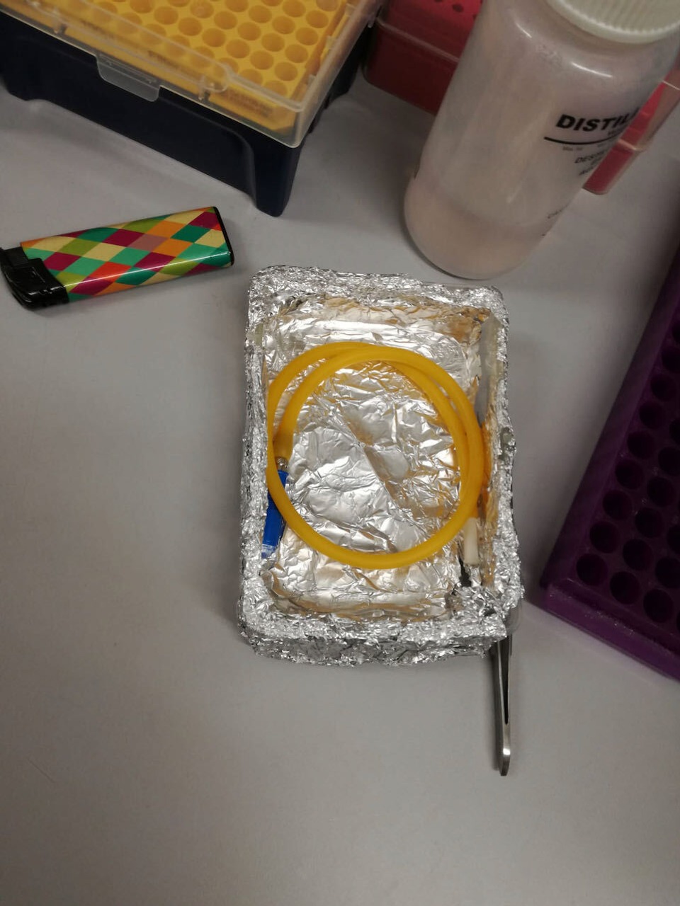 Art_the_IES_16a9eda7-370a-49e8-a751-d4df9fdd9bcf