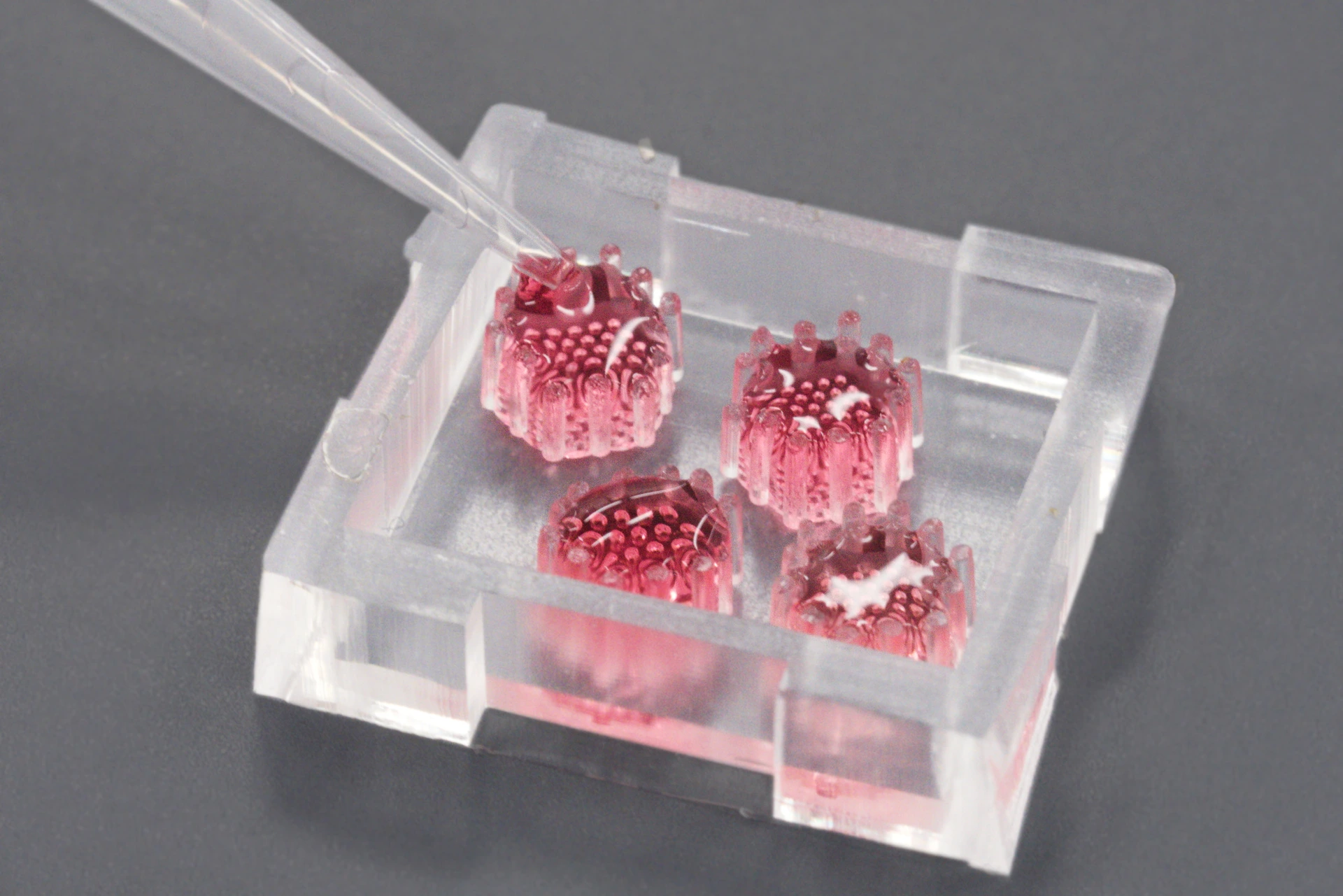 Pancreatic organoids on newly developed chip platform