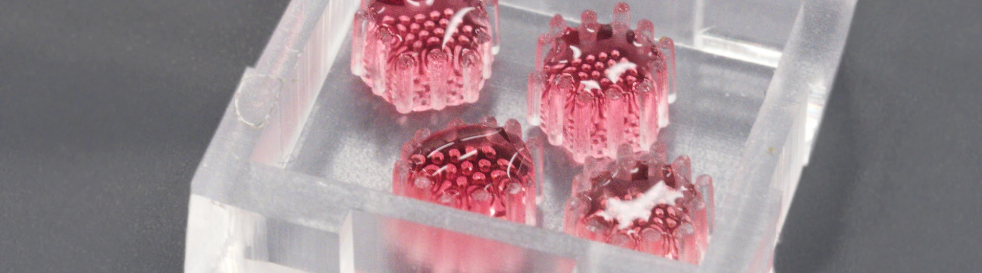 Pancreatic organoids on newly developed chip platform