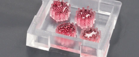 Pancreatic organoids on newly developed chip platform