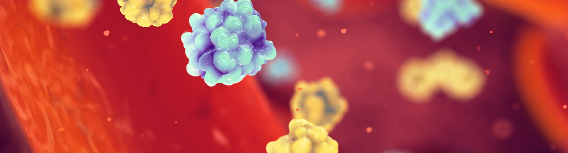 Glucose and insulin molecules in the blood