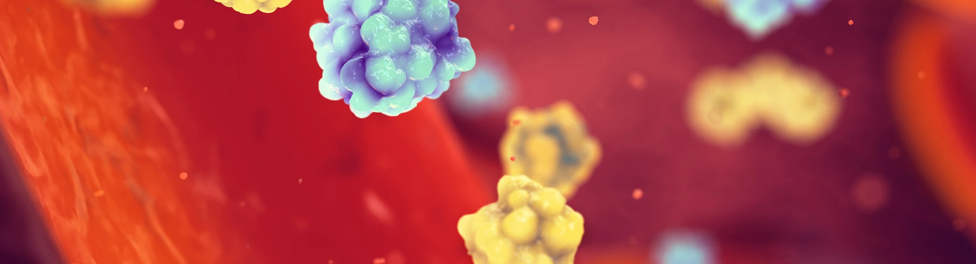 Glucose and insulin molecules in the blood