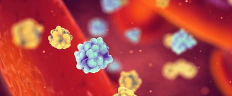 Glucose and insulin molecules in the blood