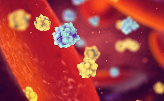 Glucose and insulin molecules in the blood
