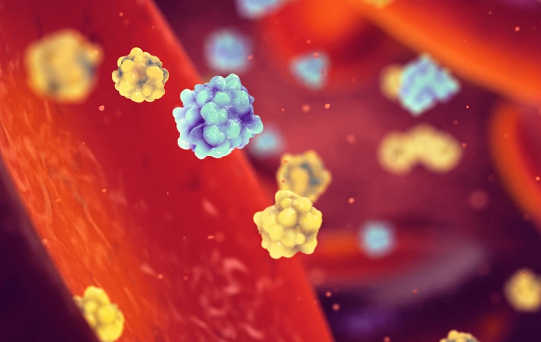 Glucose and insulin molecules in the blood