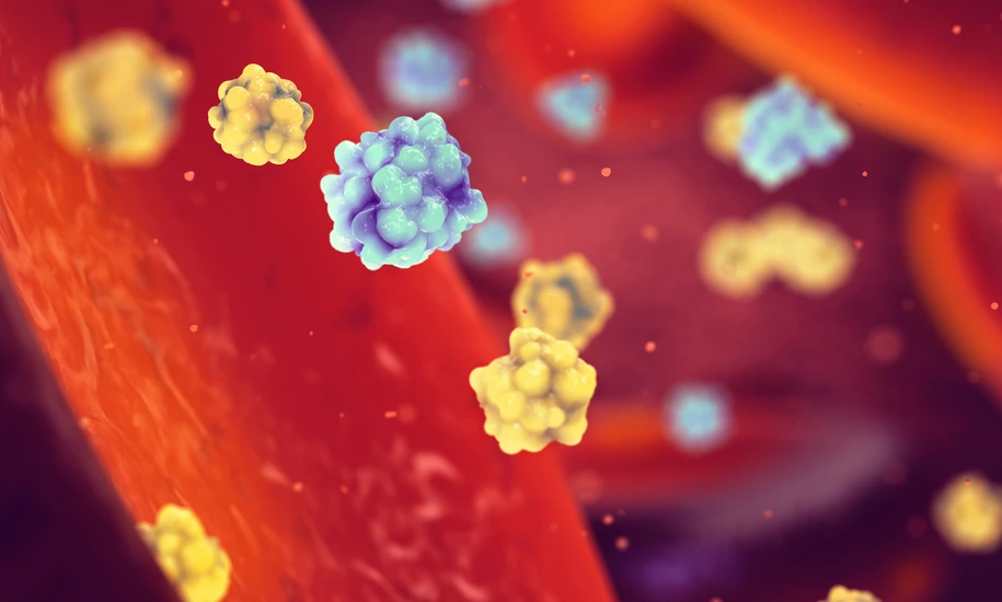 Glucose and insulin molecules in the blood