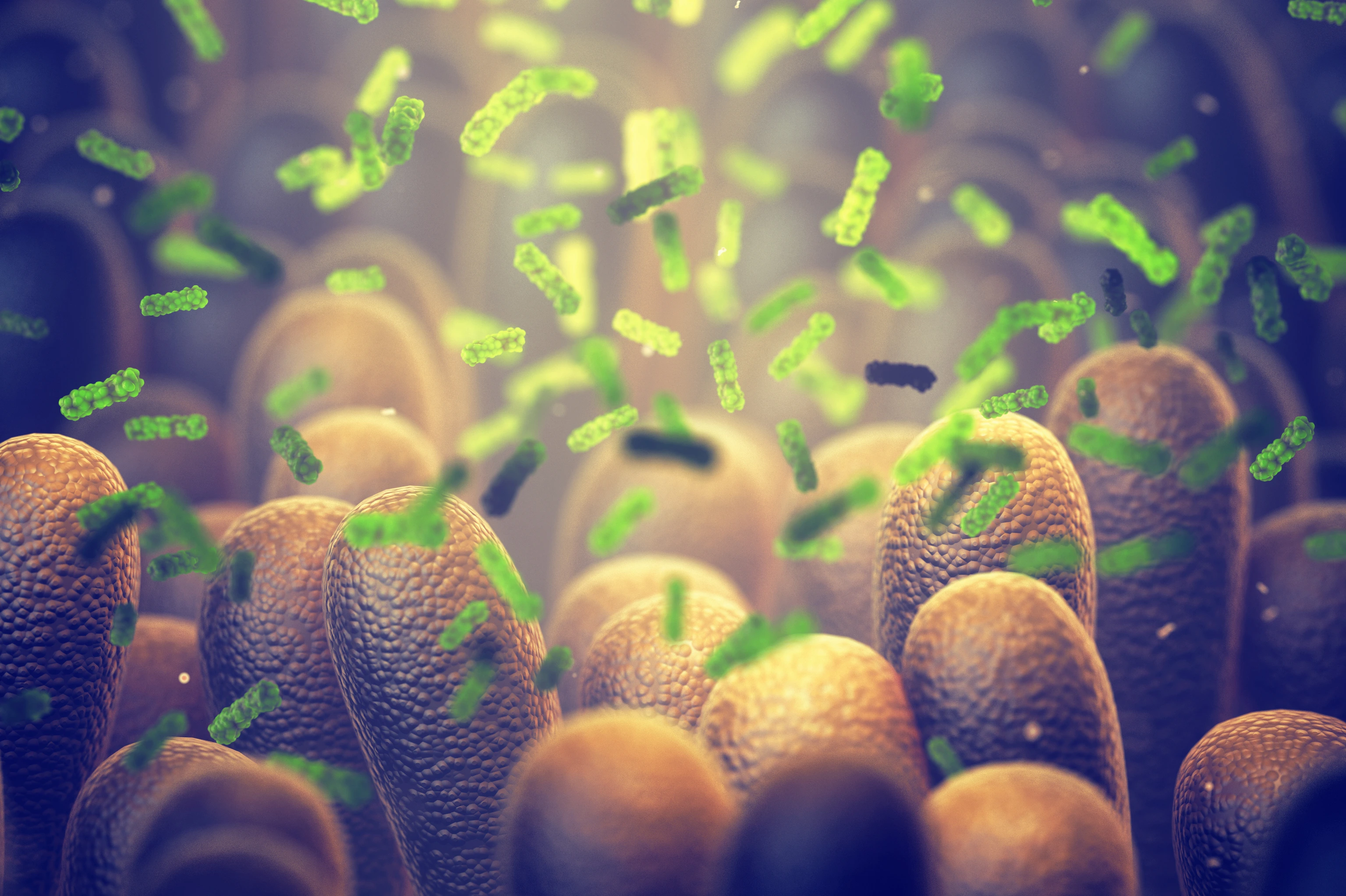 [Translate to German:] 