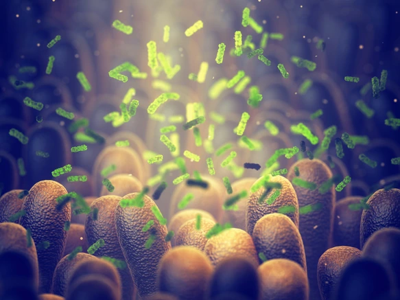 Mikrobiom beeinflusst Allergierisiko