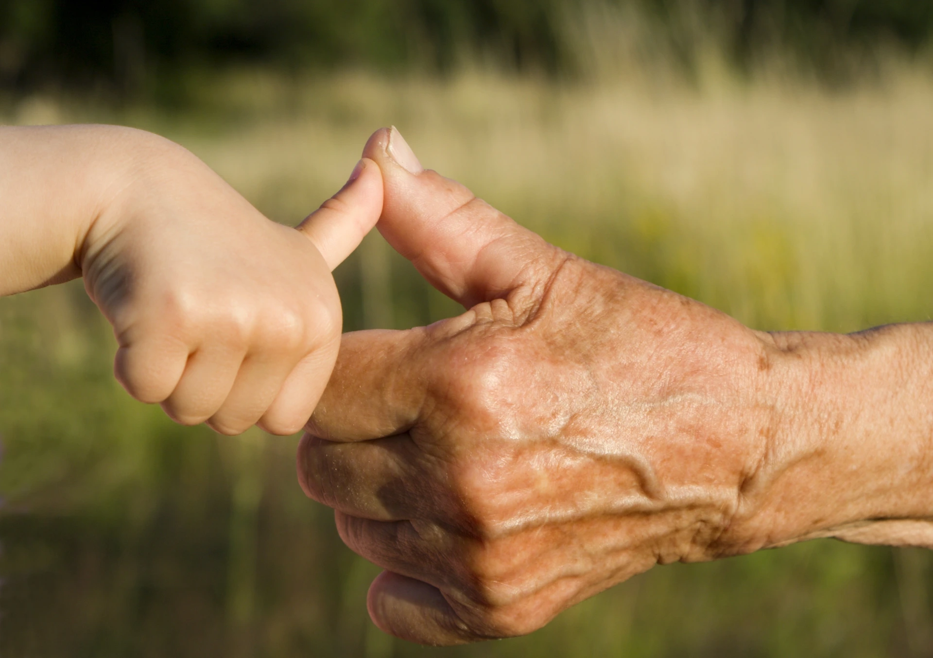Hand von Großmutter und Enkel