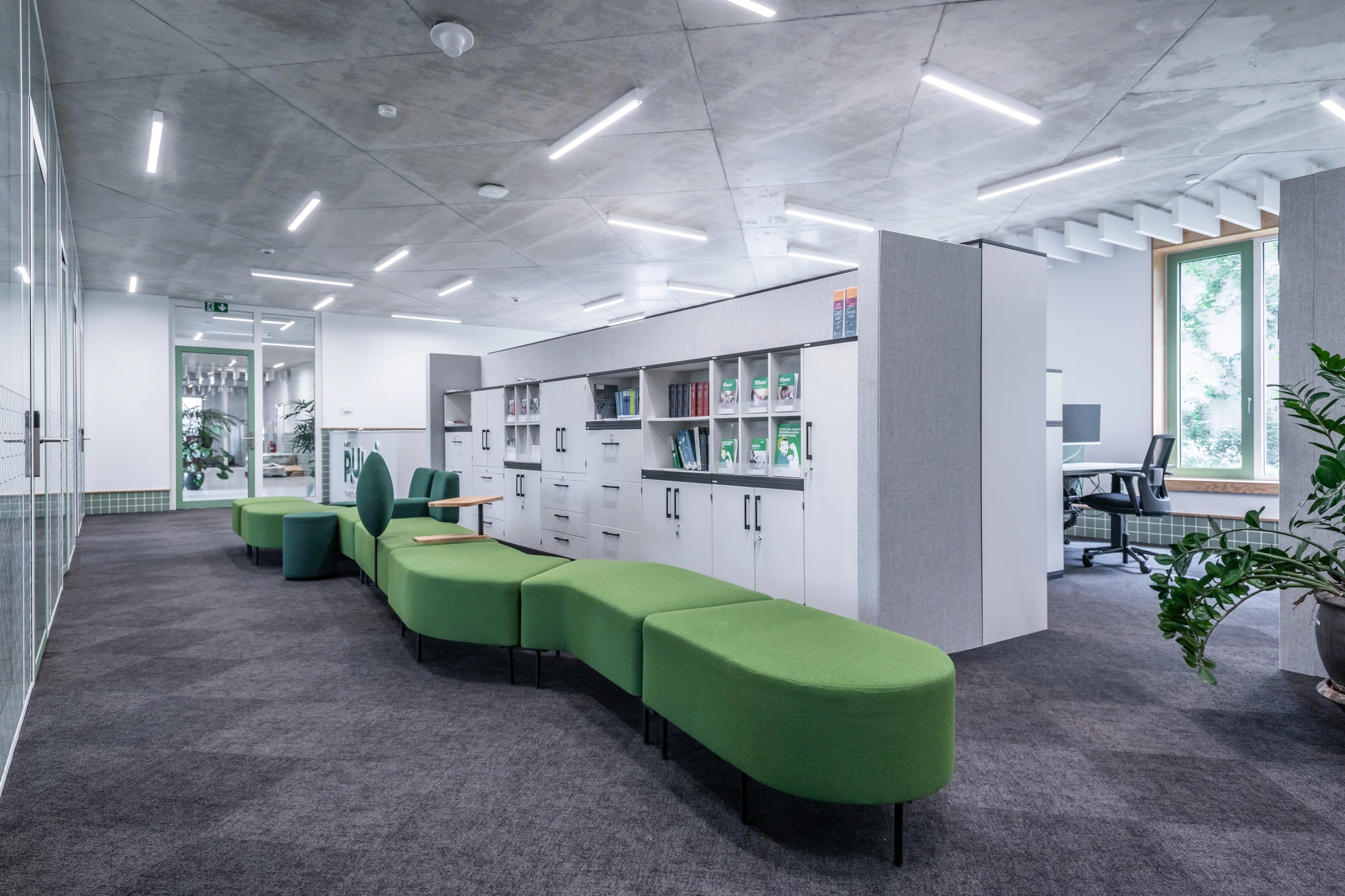 AcMedia Image