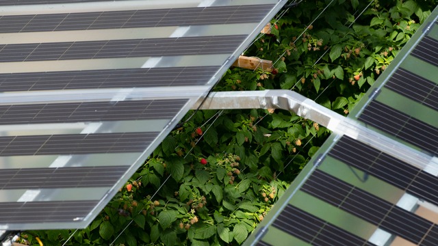 BayWa r.e. participará en la X edición del Foro Solar