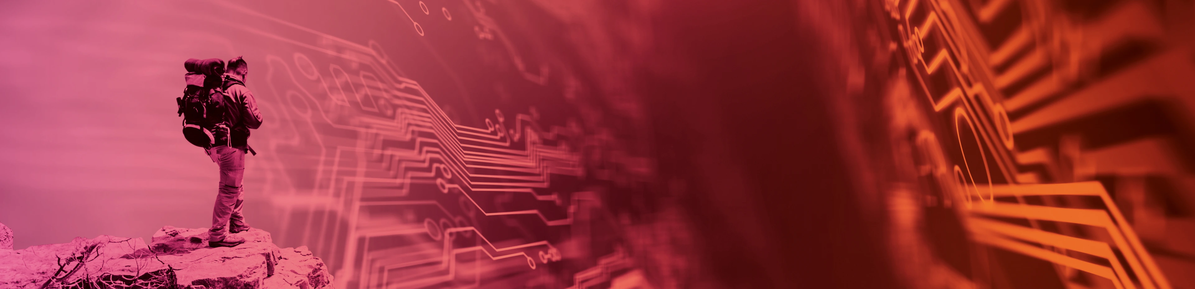 Mountaineer at the Summit