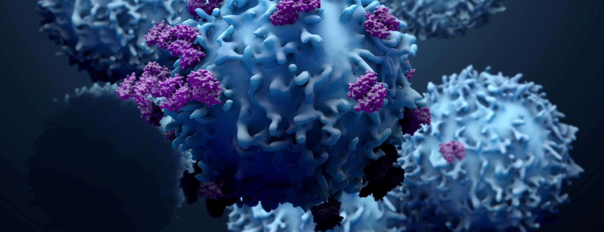 3d illustration proteins with lymphocytes , t cells or cancer cells
