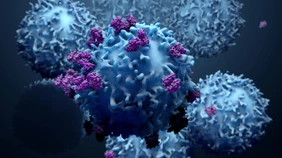 3d illustration proteins with lymphocytes , t cells or cancer cells
