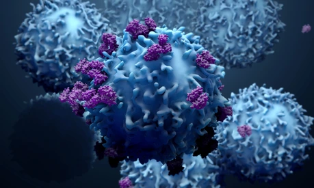 3d illustration proteins with lymphocytes , t cells or cancer cells
