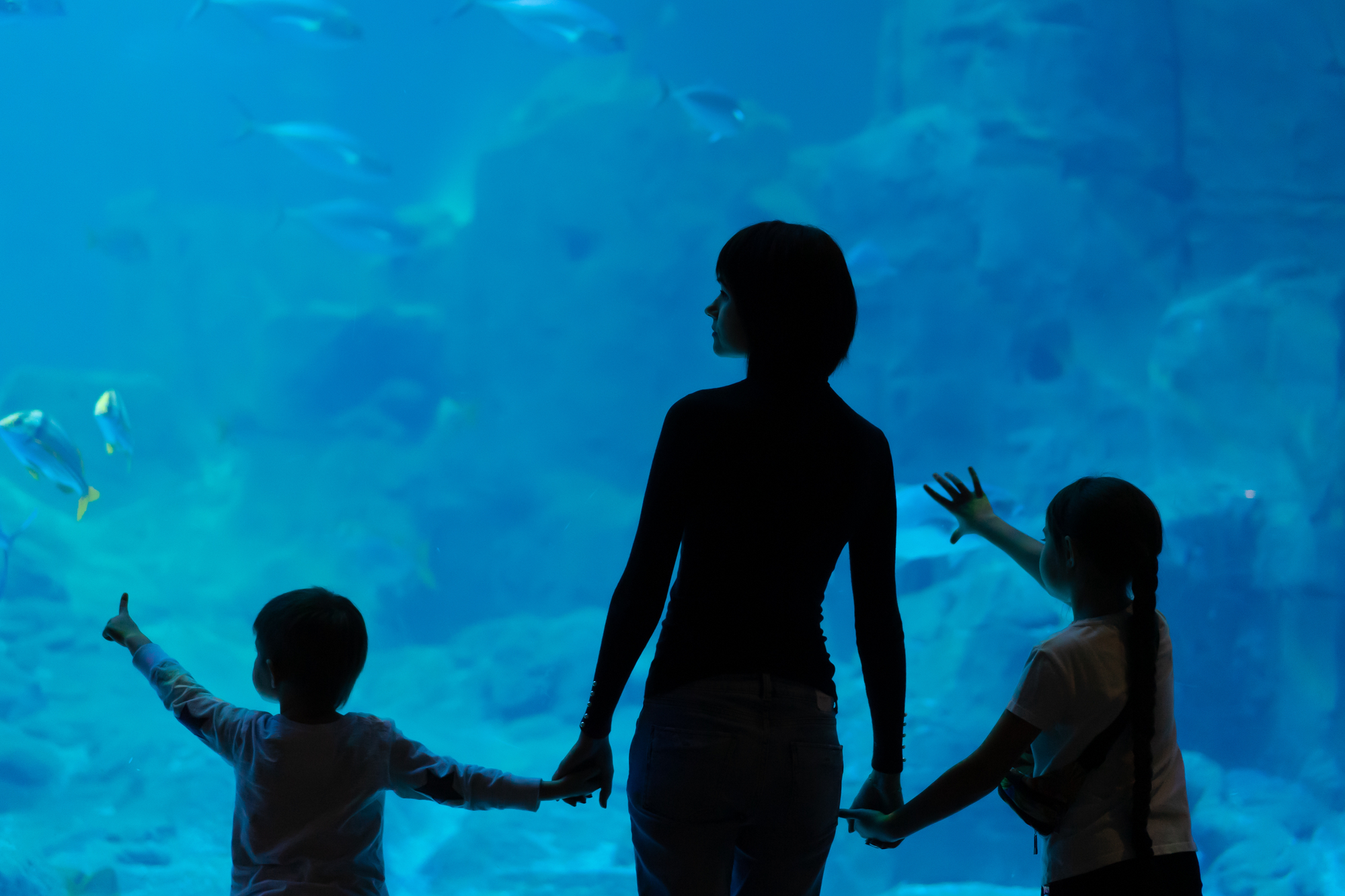 Family stands close to aquarium and looking at fishes
