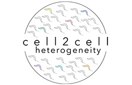 Logo Cell2Cell Innovative Training Network