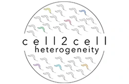 Logo Cell2Cell Innovative Training Network