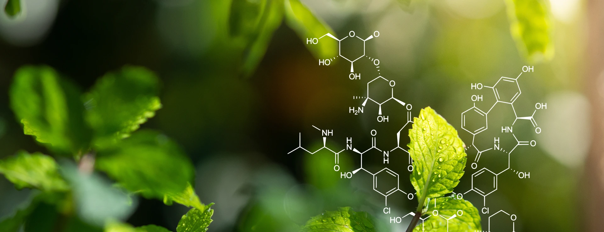 Plants background with biochemistry structure.