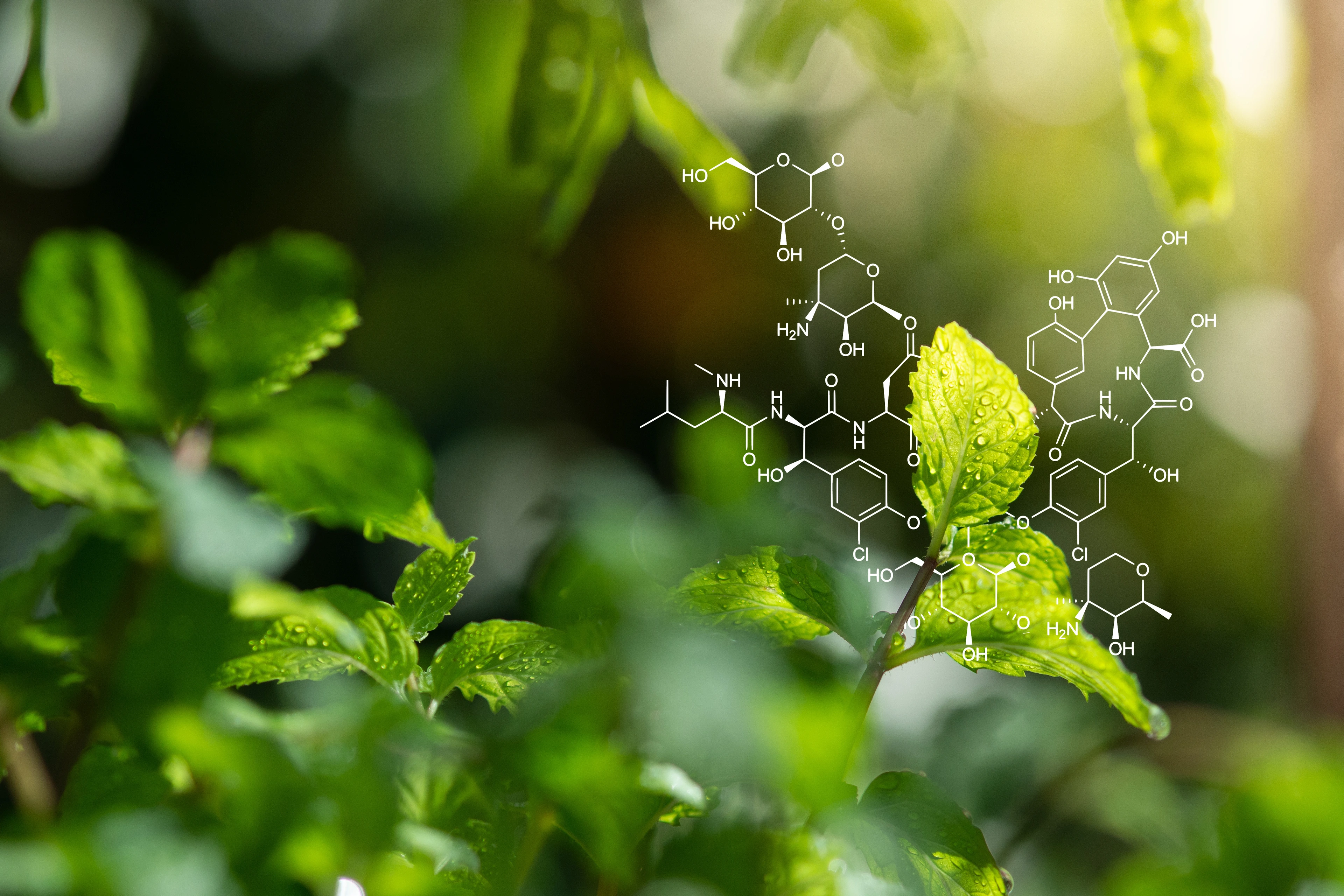 BIOP Institut, Schmuckbild für Minimal Institutspage; Pflanzen mit chemischen Formeln; grüne Blätter