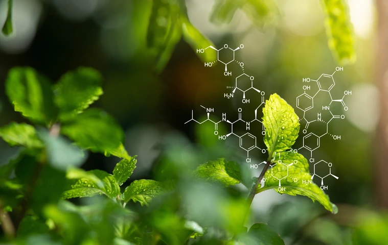 Plants background with biochemistry structure.