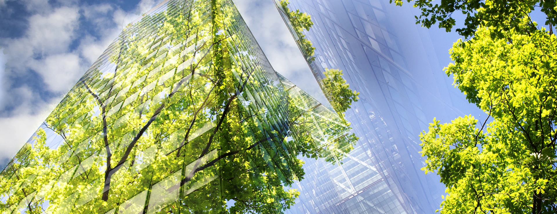 green city - double exposure of lush green forest and modern skyscrapers windowsg