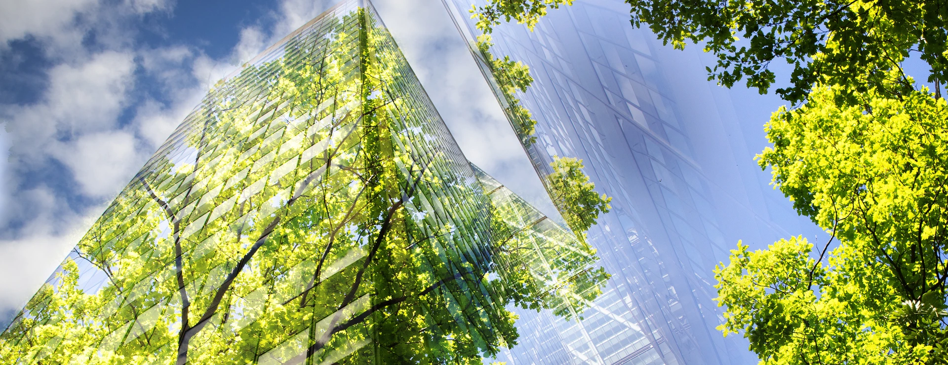 green city - double exposure of lush green forest and modern skyscrapers windowsg