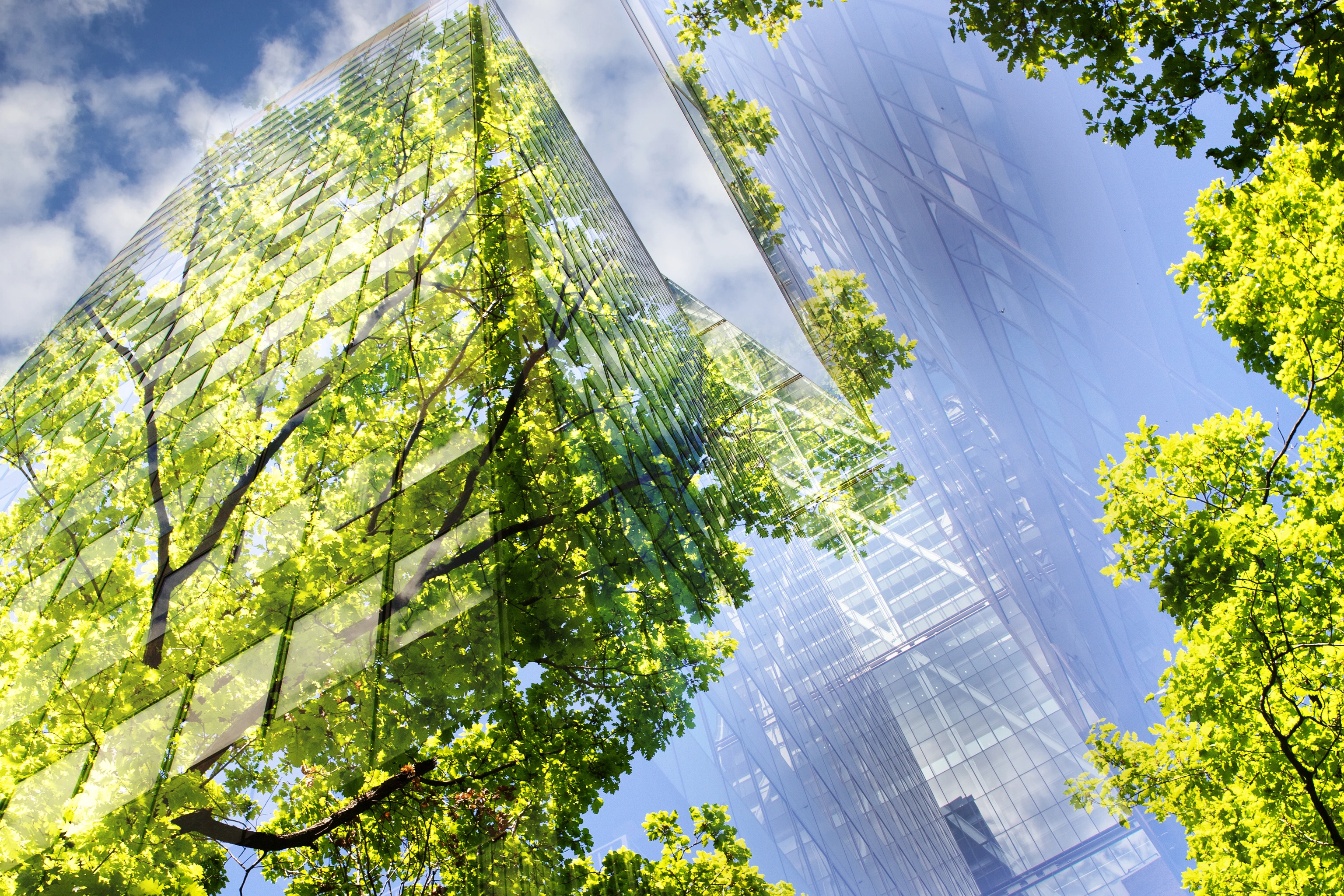 green city - double exposure of lush green forest and modern skyscrapers windowsg