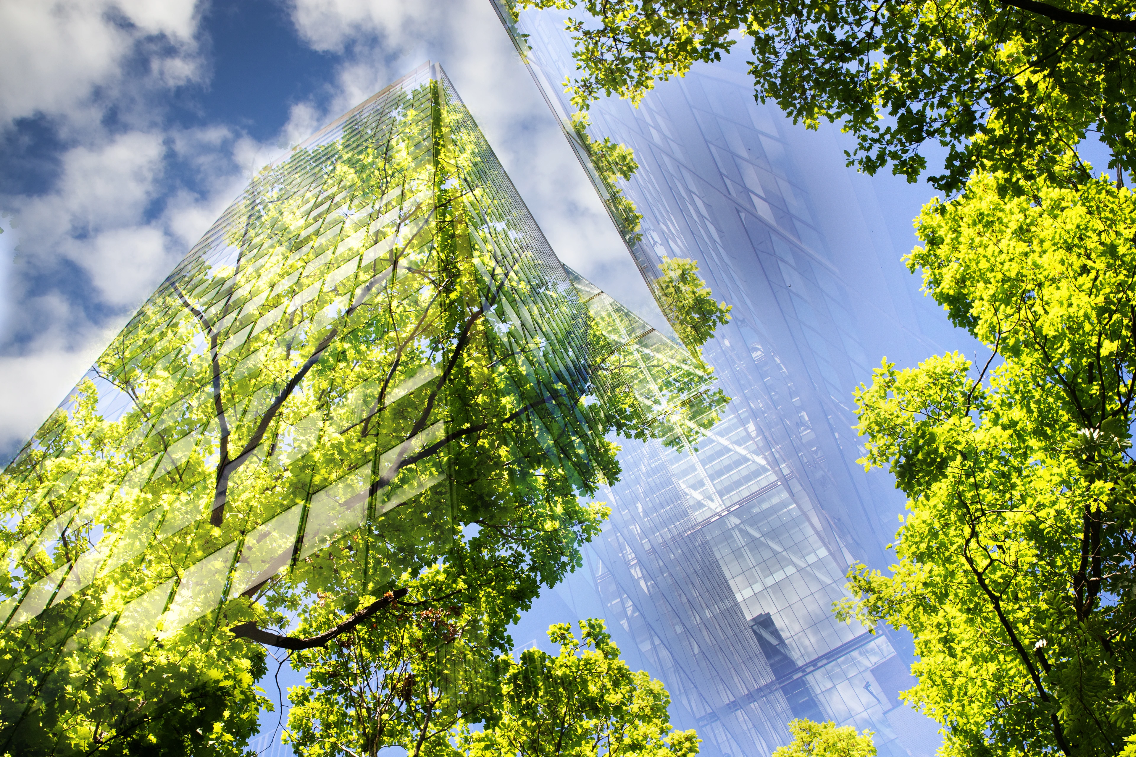 green city - double exposure of lush green forest and modern skyscrapers windowsg