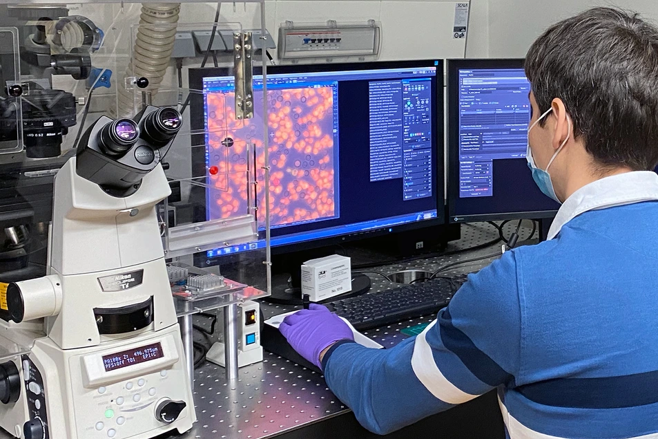 Schneider Lab Microscopy Room