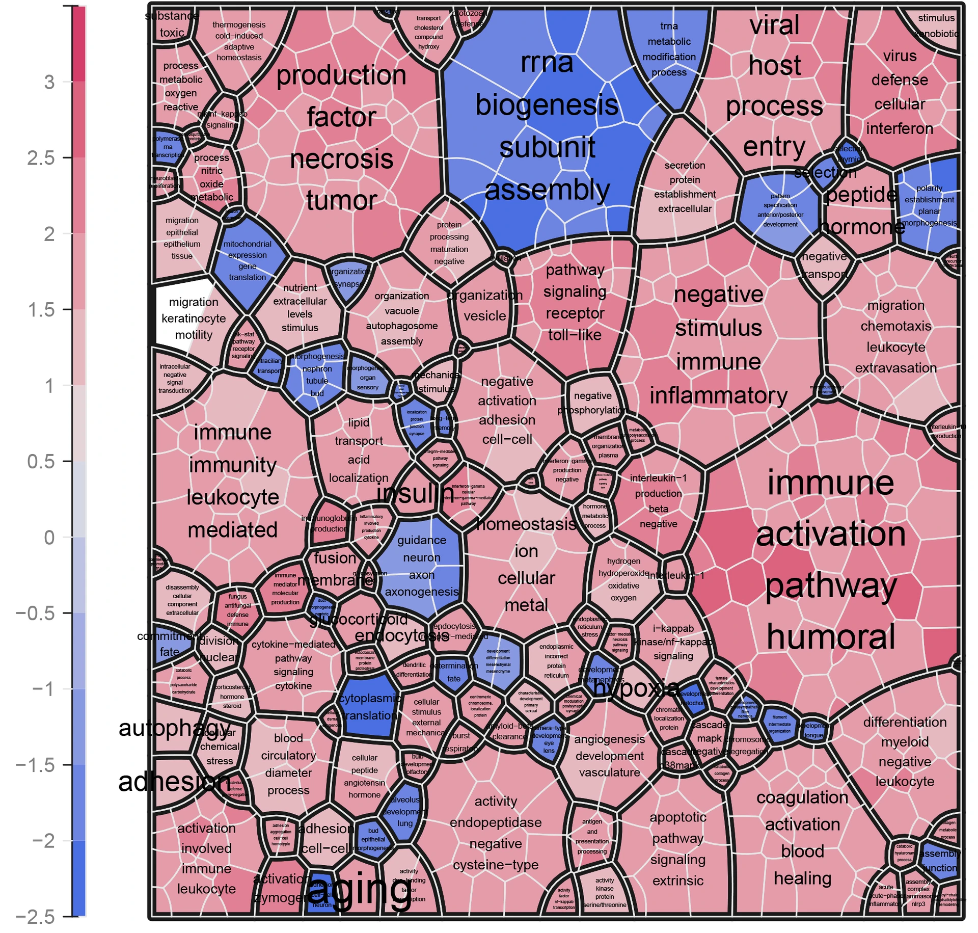 UGH-pic7_Baranova_GOBP_clustered