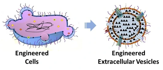Cell image