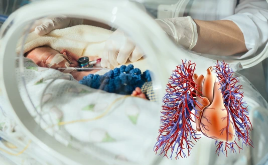 intensive care unit