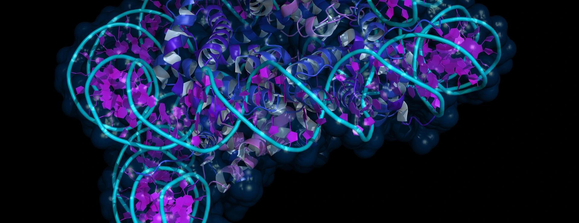 Nucleosome