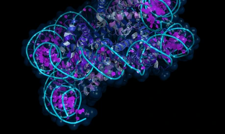 Nucleosome