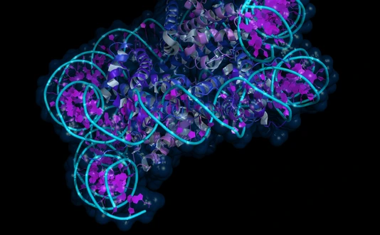 Nucleosome
