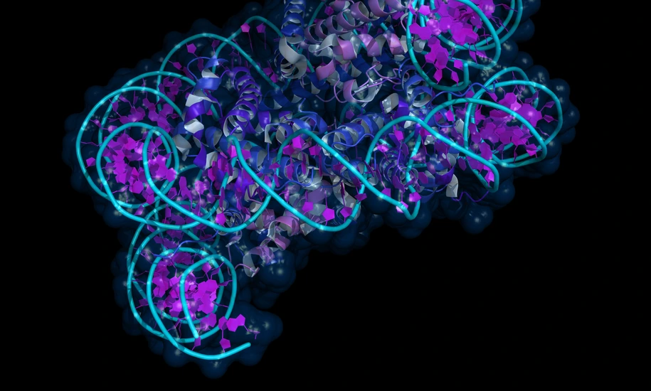 Nucleosome