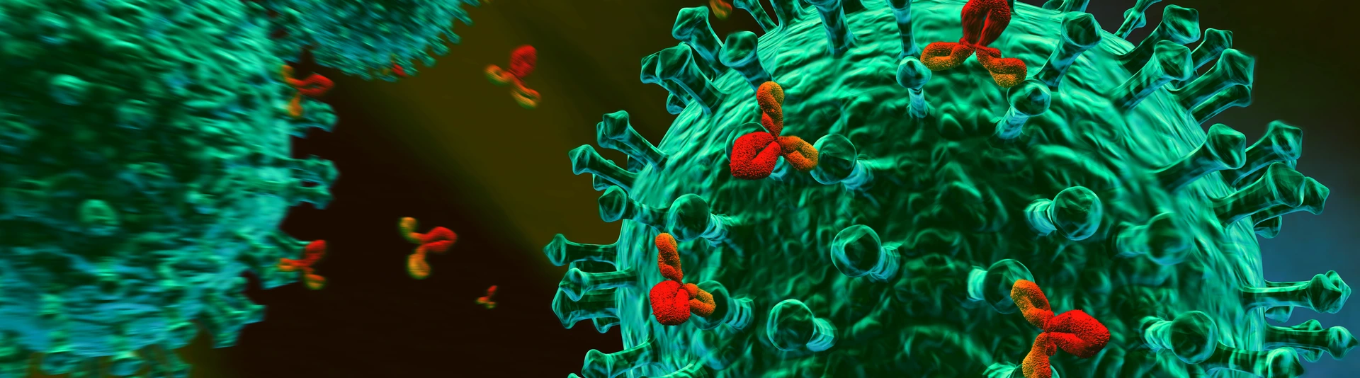 Immunsystem