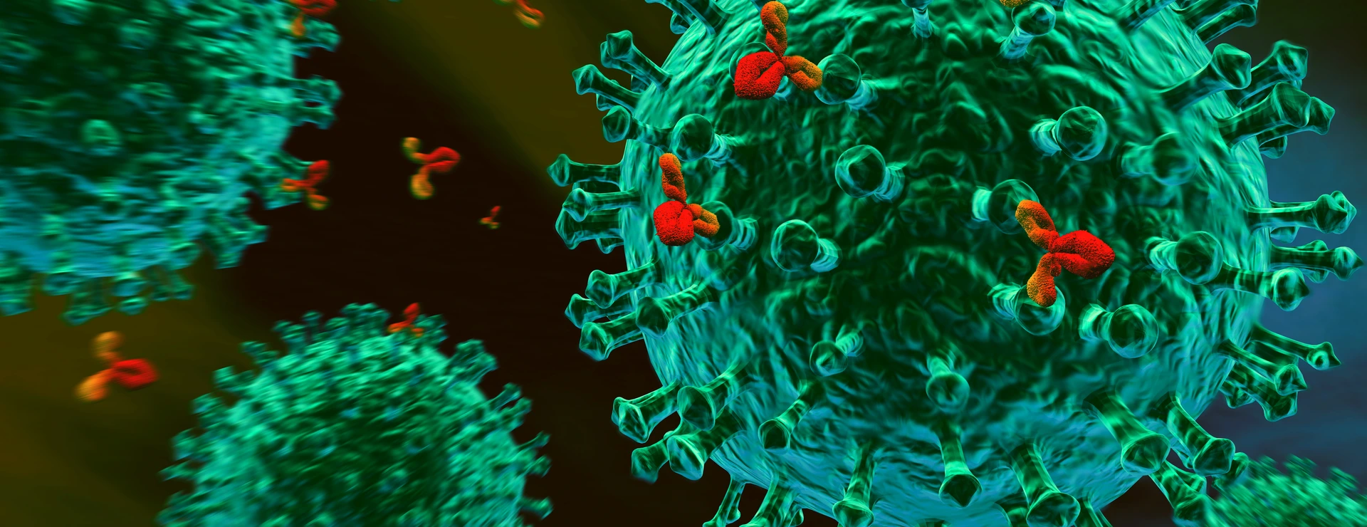 Immunsystem - Entstehung einer Allergie
