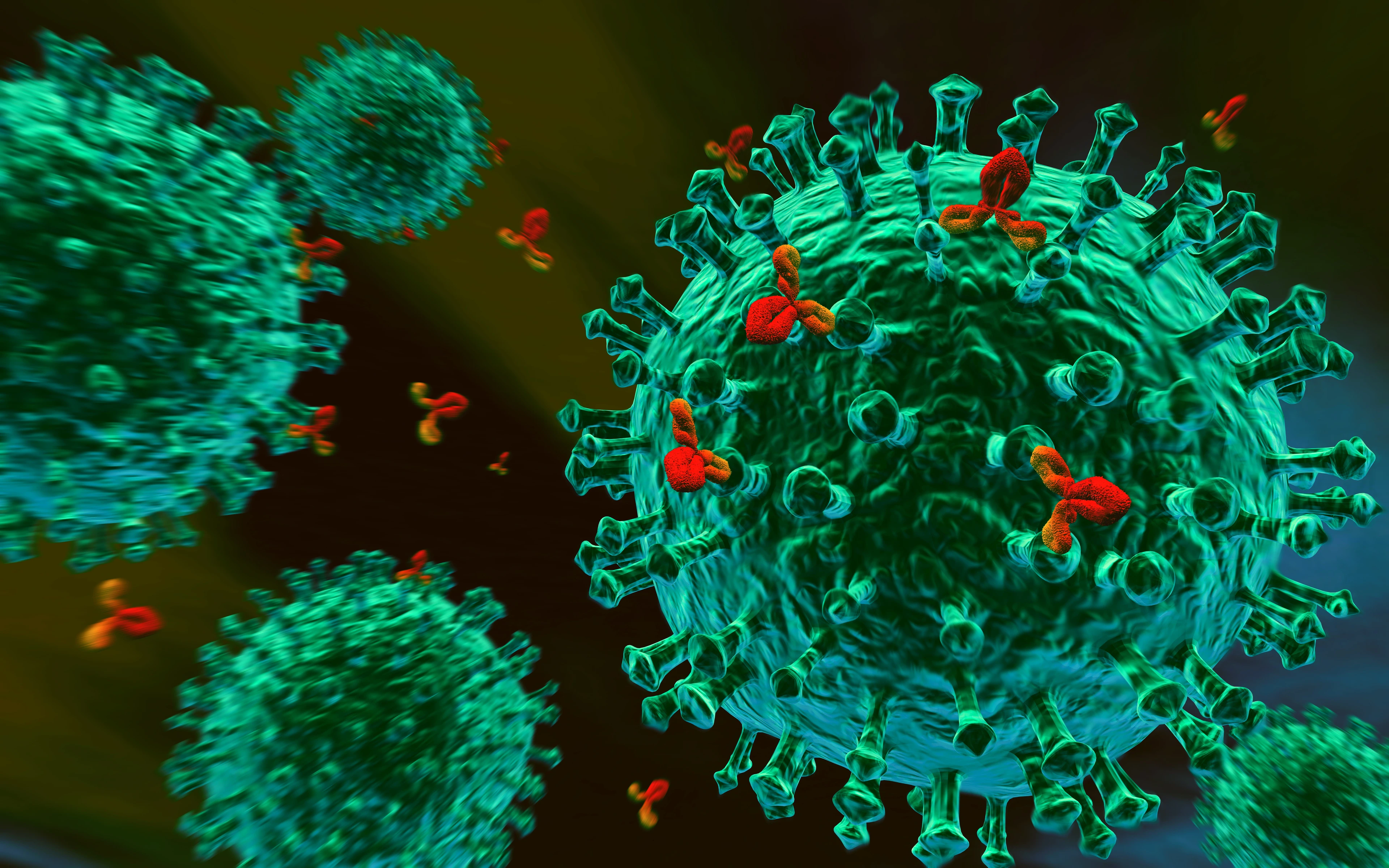 Immunsystem - Entstehung einer Allergie