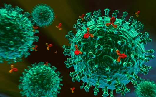 Immunsystem