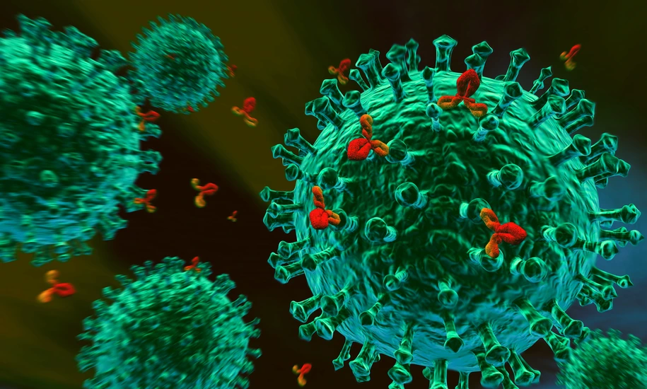 Immunsystem