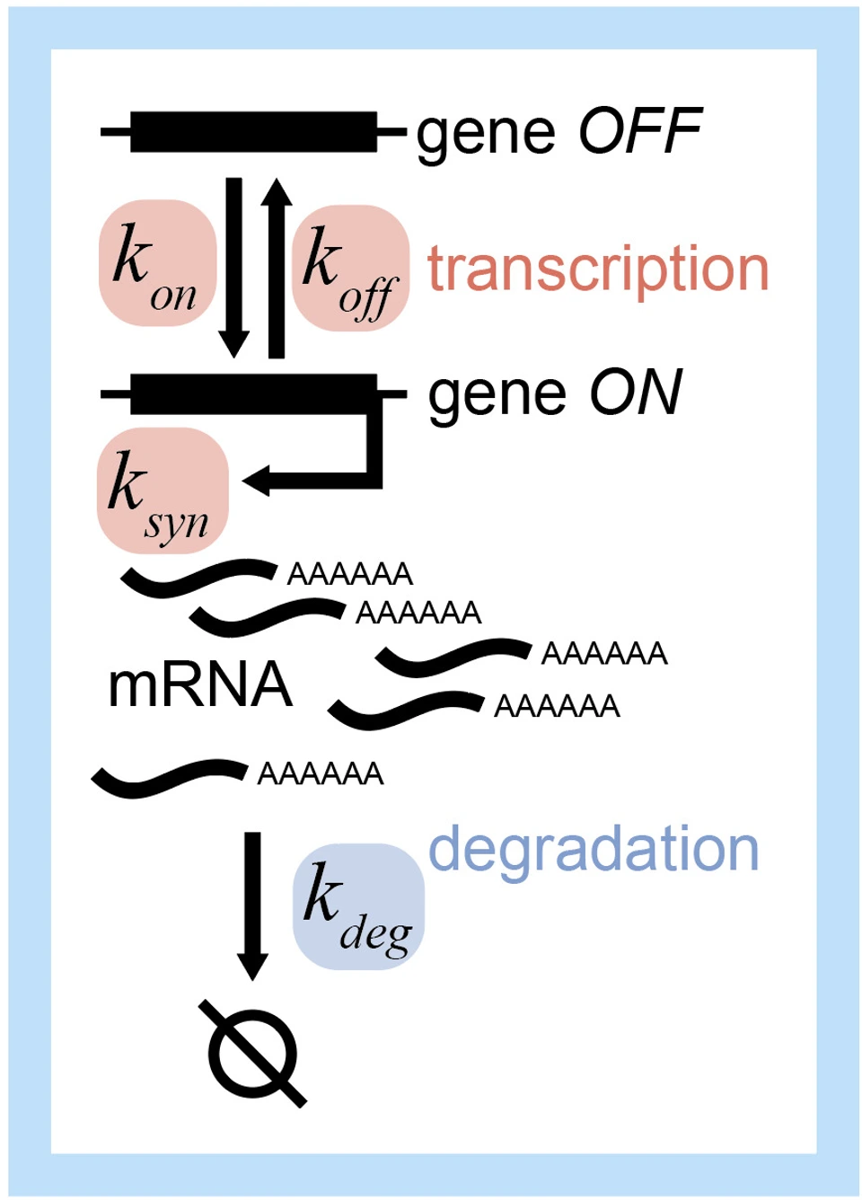 Science Picture 2 Nicolas Battich