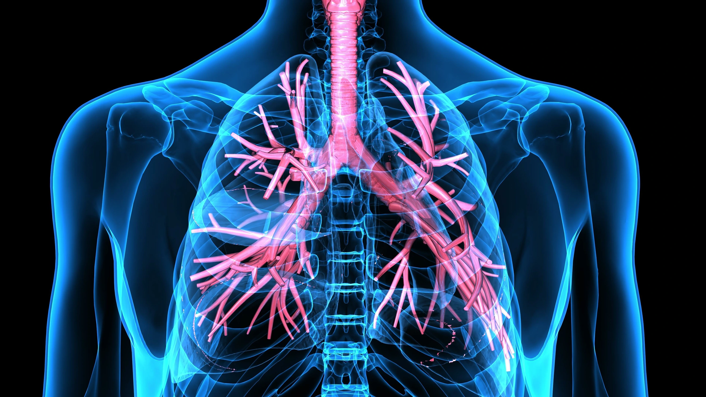 AdobeStock_126797930 c PIC4U