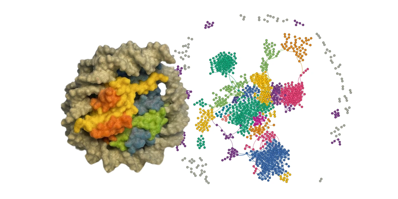 Nucleosome DNA wraps