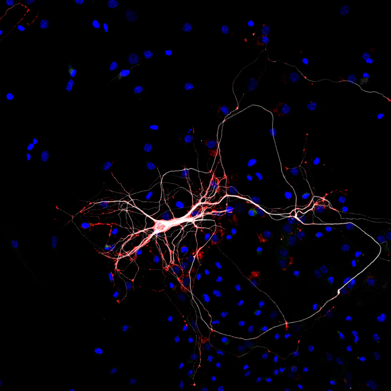 Main_Picture_copyright_Masserdotti - rotated