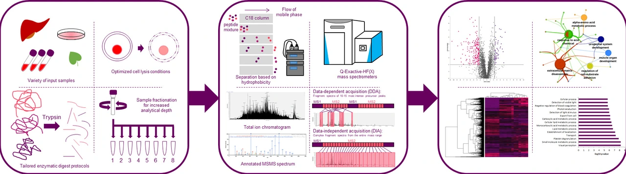 Deep proteome profiling